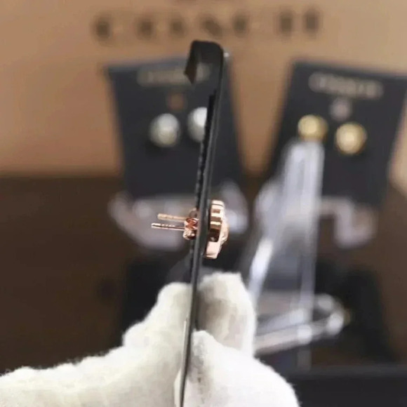 OPEN CIRCLE STONE STRAND EARRINGS (COACH F54516) - Picture 5 of 6